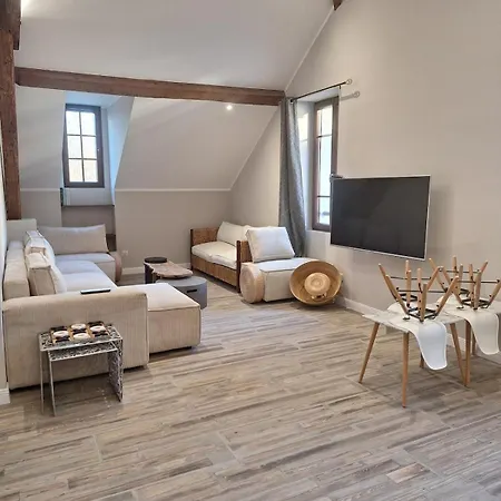 公寓 Le Loft Du Centre 艾克斯莱班