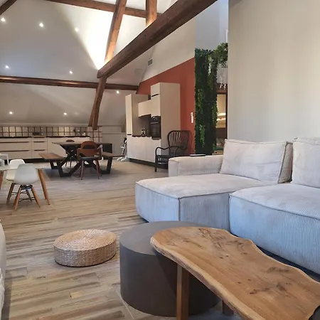 公寓 Le Loft Du Centre